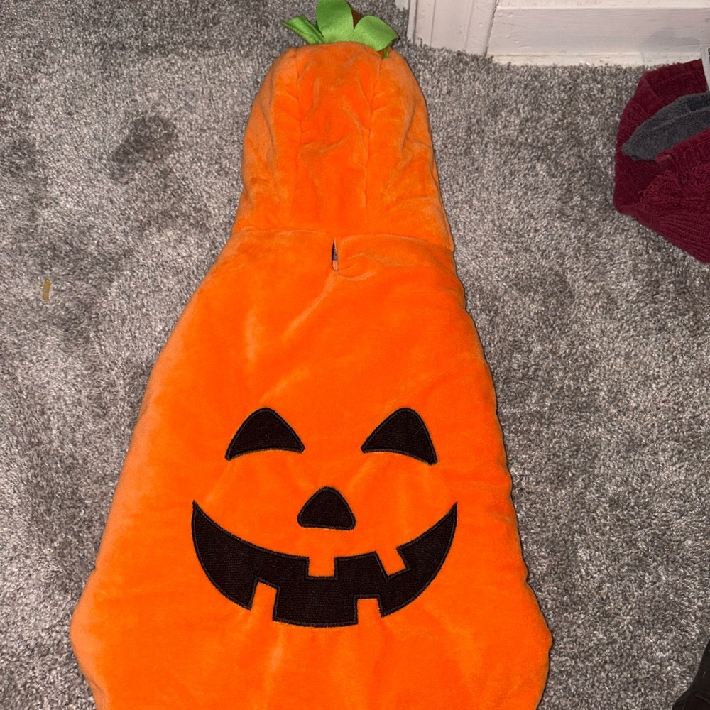 Dog Orange Pumpkin Costume Plush Halloween Outfit